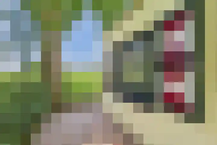 Schenkeldijk 2 Graauw thumbnail 37
