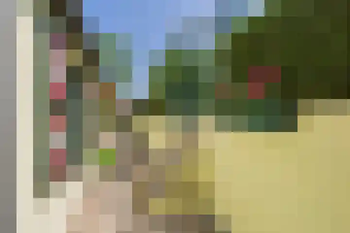 Schenkeldijk 2 Graauw thumbnail 38