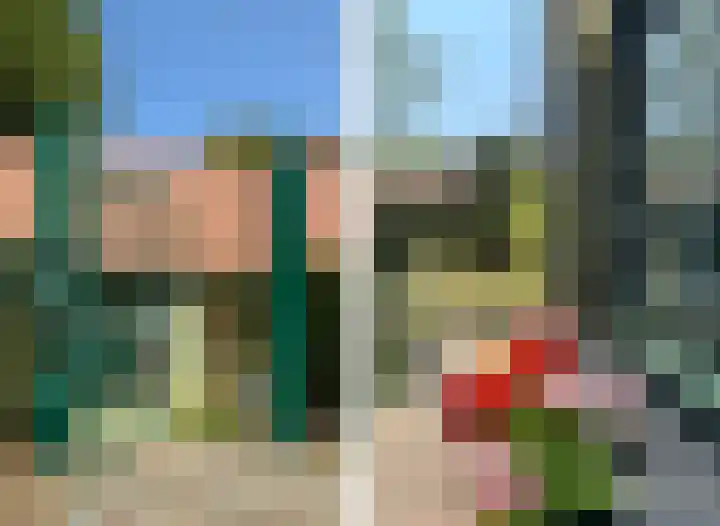 Schenkeldijk 2 Graauw thumbnail 39