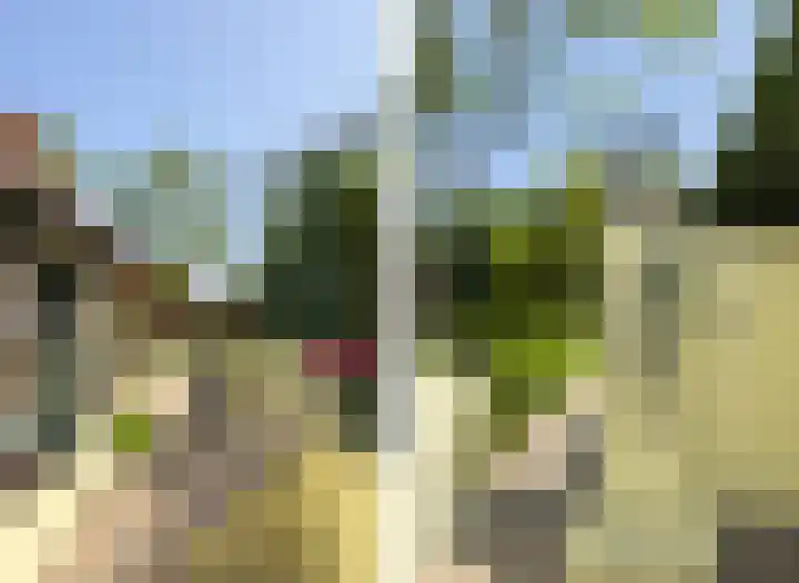 Schenkeldijk 2 Graauw thumbnail 4