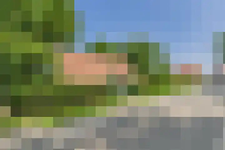 Schenkeldijk 2 Graauw thumbnail 40