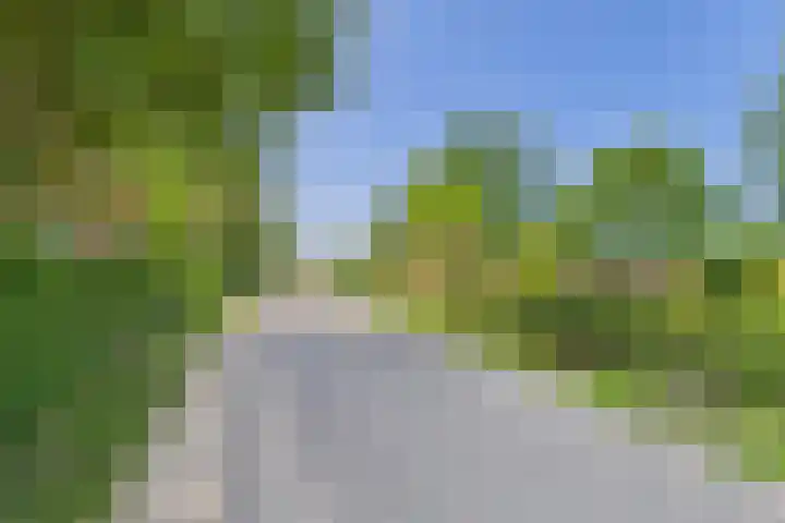 Schenkeldijk 2 Graauw thumbnail 41