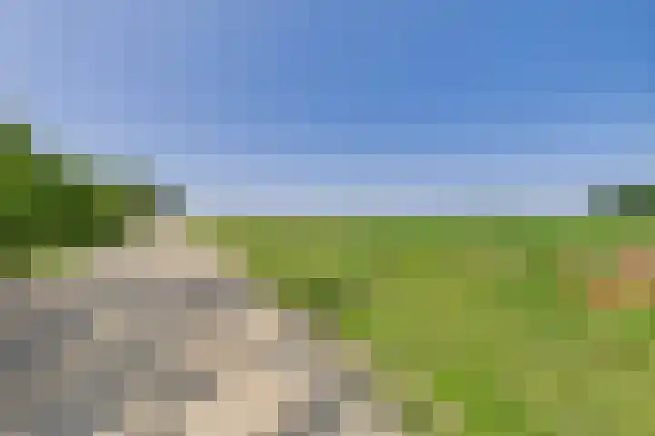 Schenkeldijk 2 Graauw thumbnail 42