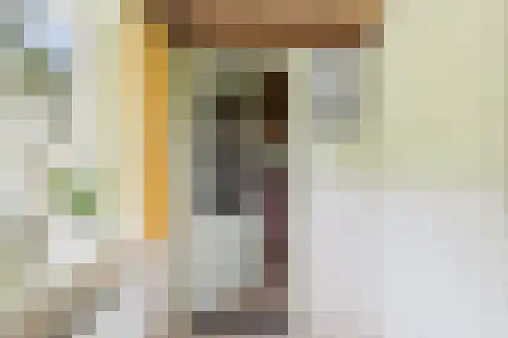 Schenkeldijk 2 Graauw thumbnail 8