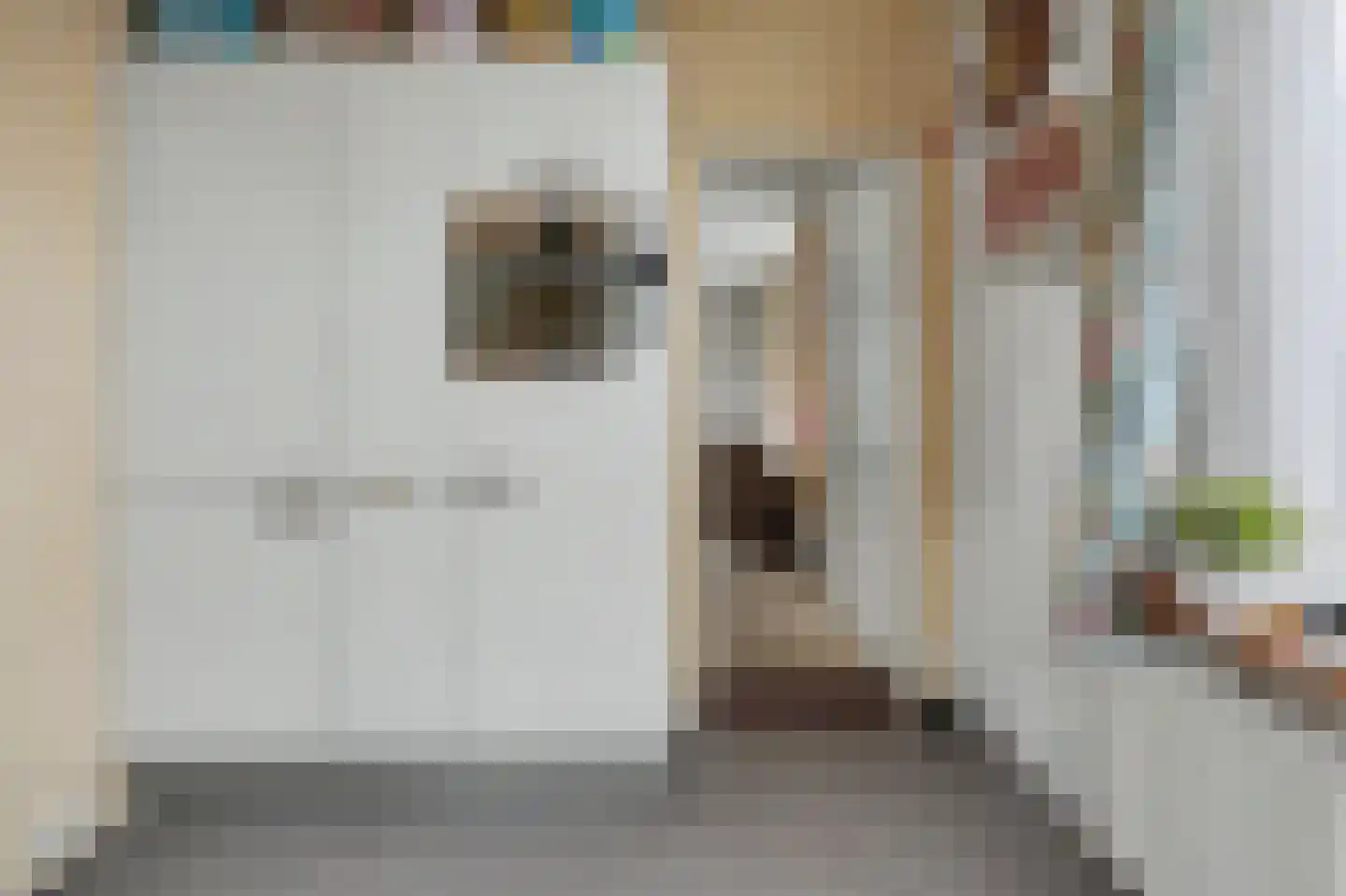 Schenkeldijk 2 Strijen thumbnail 10