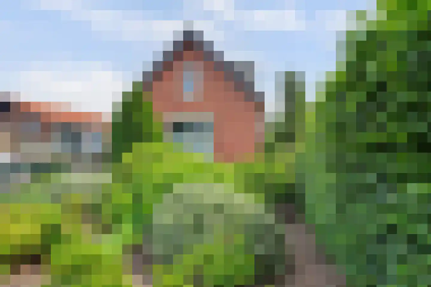 Schenkeldijk 2 Strijen thumbnail 19