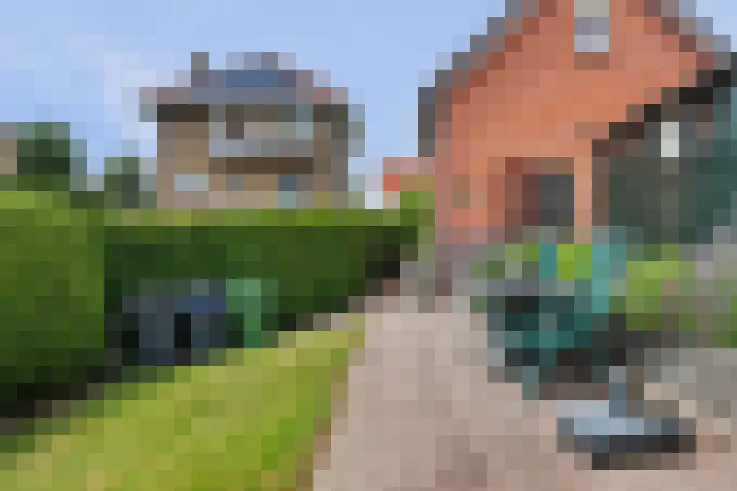 Schenkeldijk 2 Strijen thumbnail 21