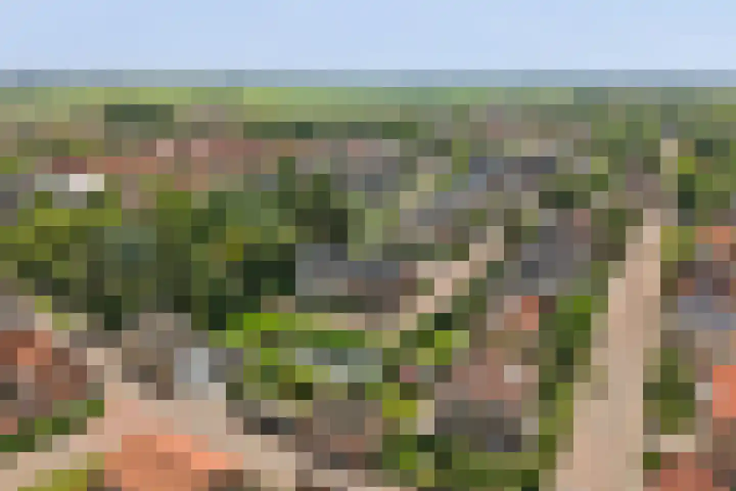 Schenkeldijk 2 Strijen thumbnail 24