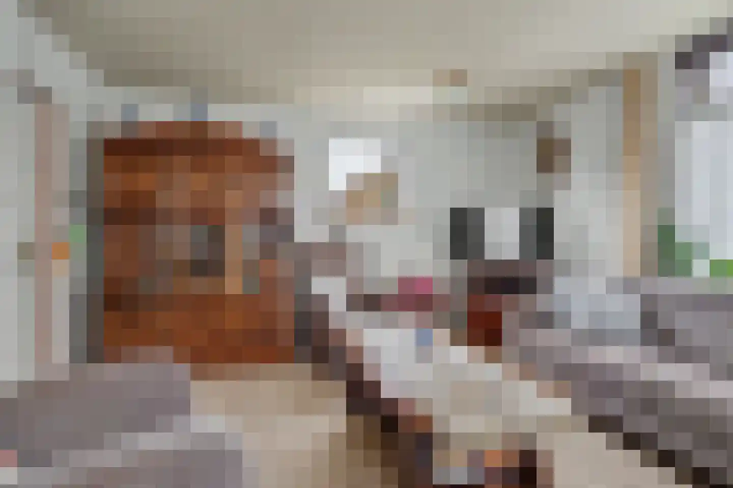 Schenkeldijk 2 Strijen thumbnail 6