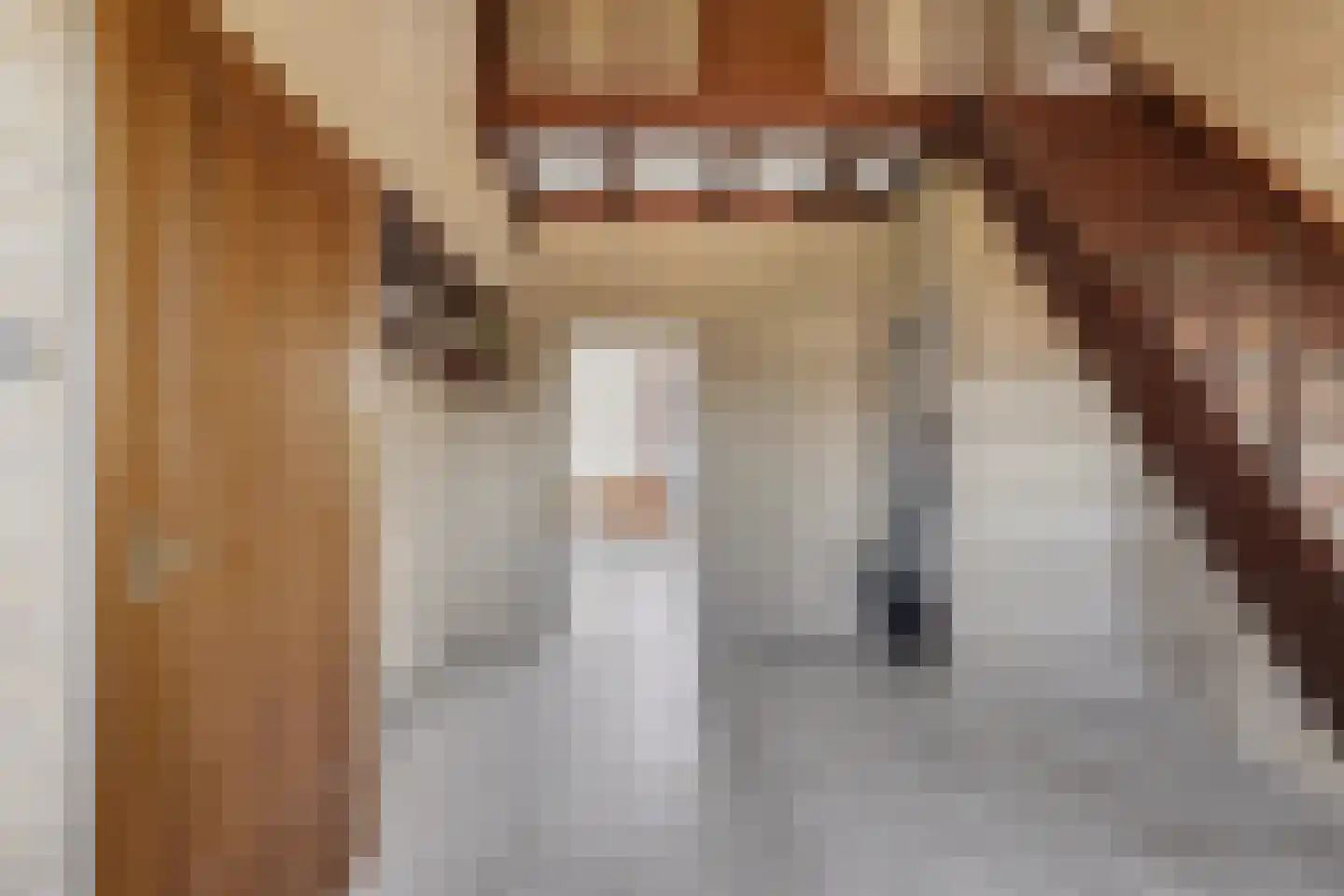 Schenkeldijk 29 Strijen thumbnail 11