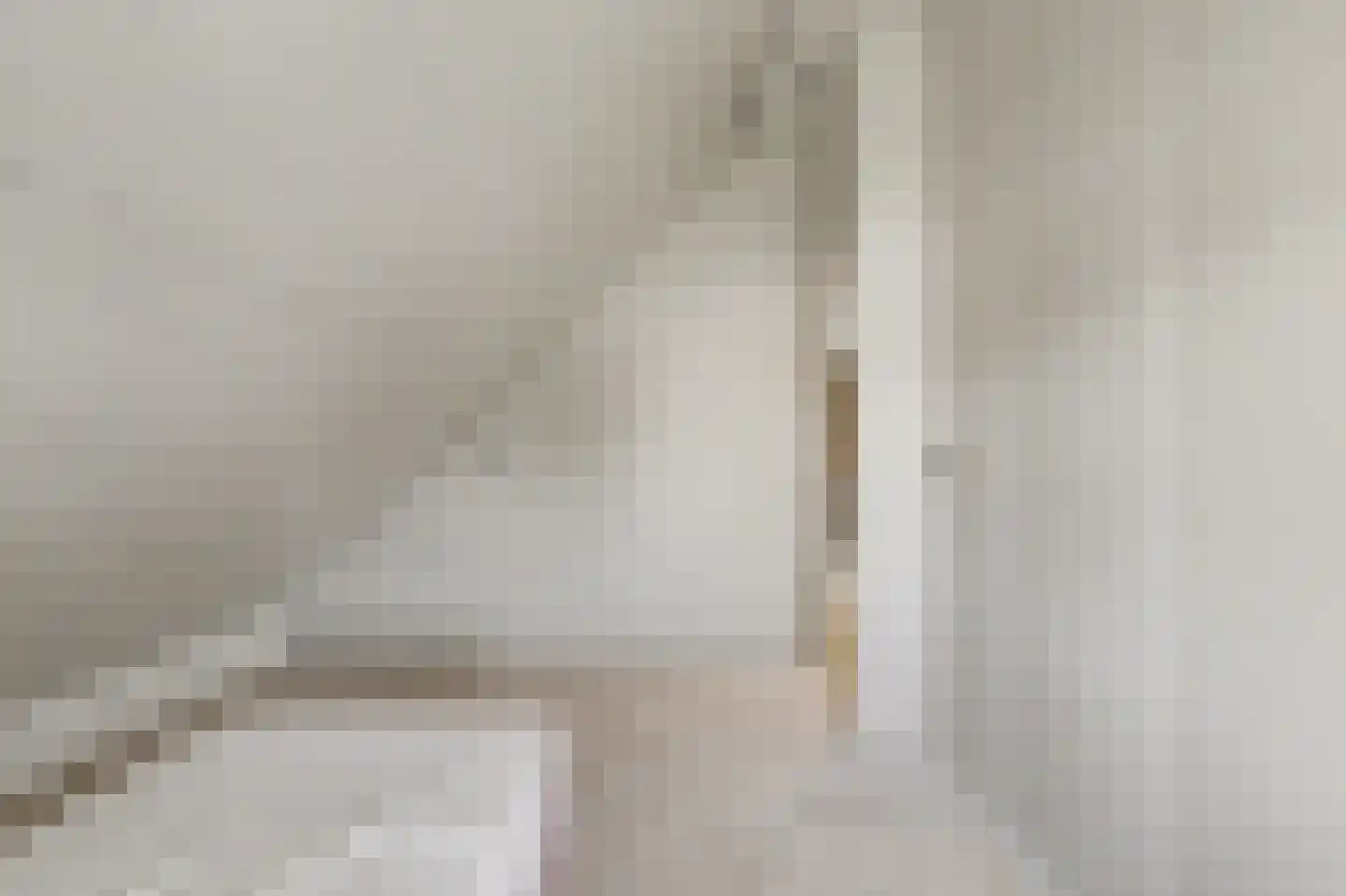 Schenkeldijk 29 Strijen thumbnail 25