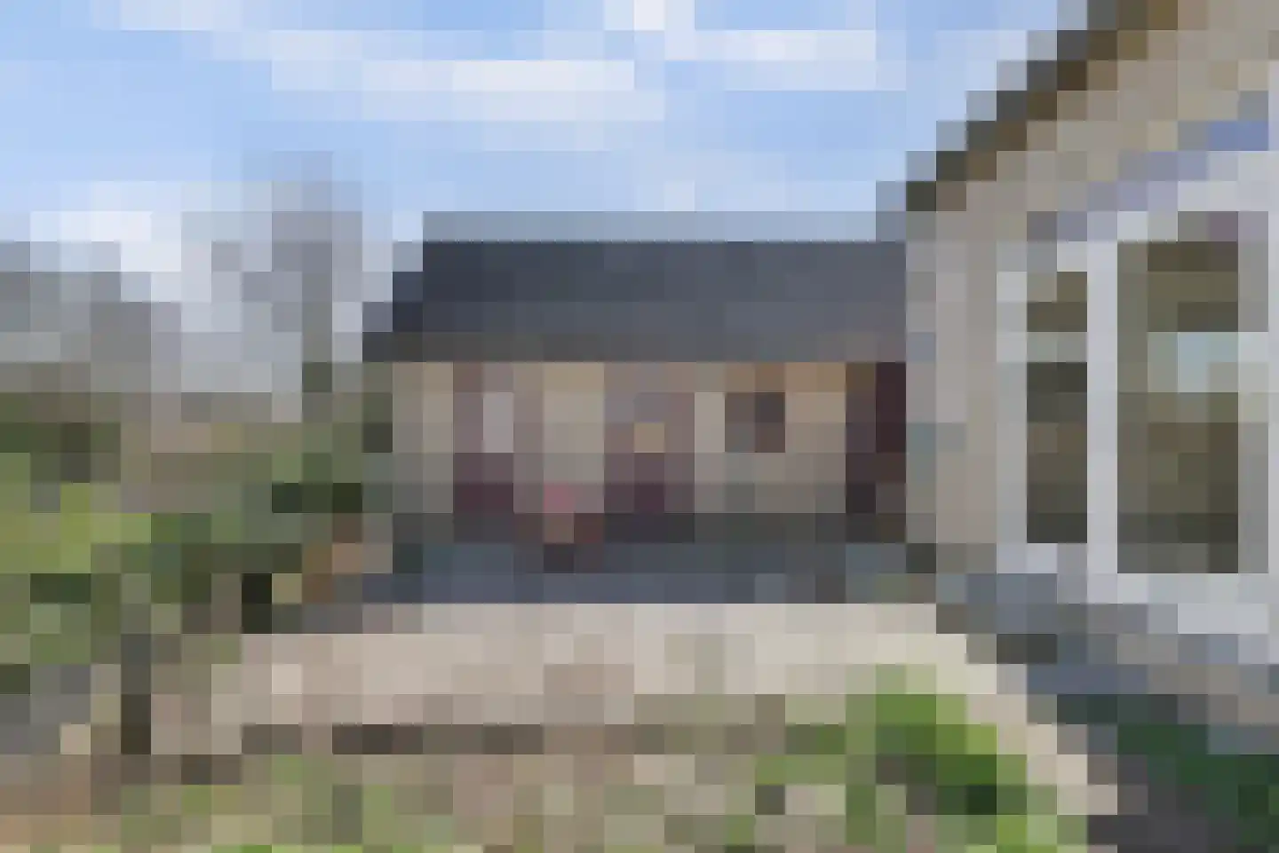 Schenkeldijk 29 Strijen thumbnail 37