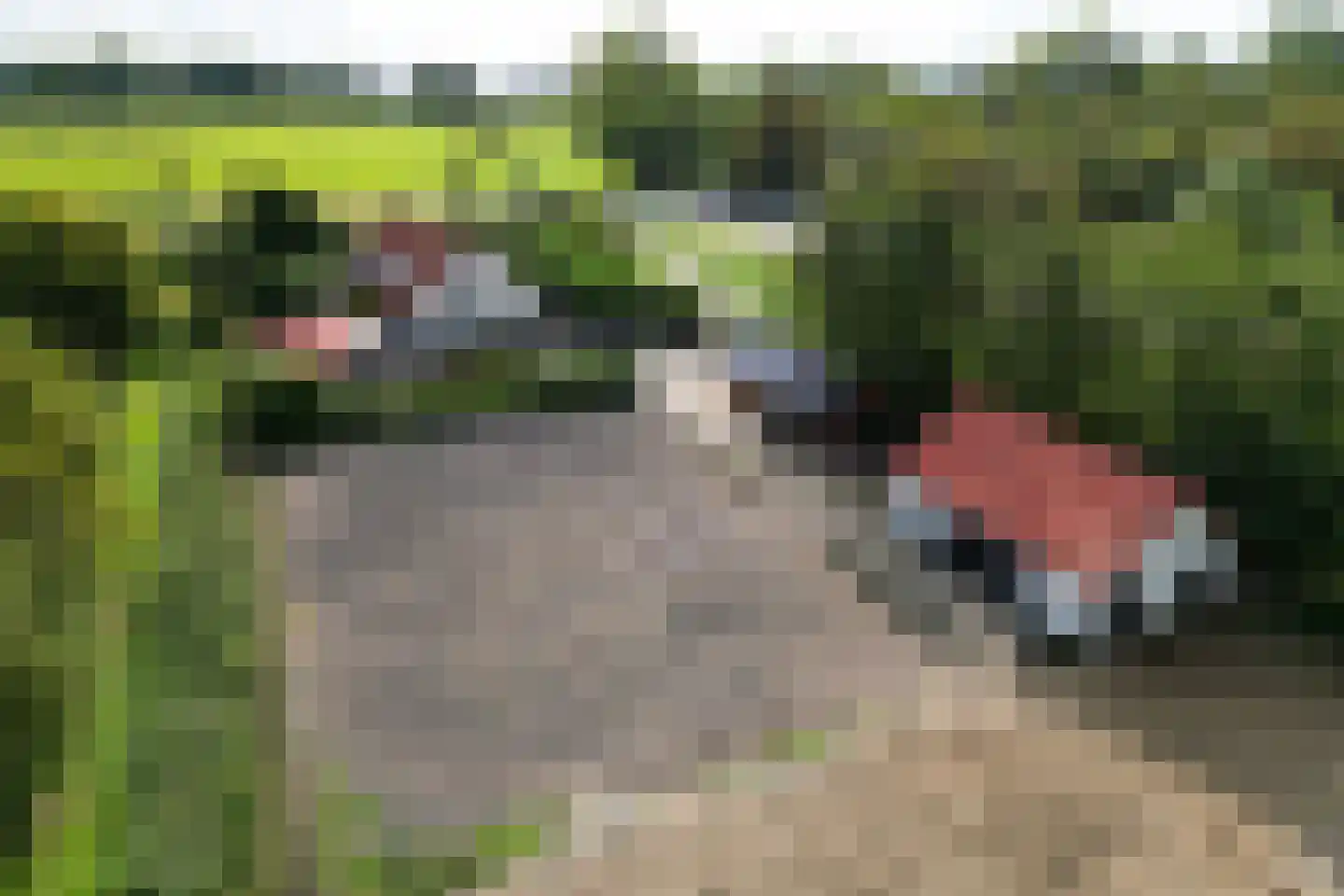 Schenkeldijk 4 Hellevoetsluis thumbnail 64