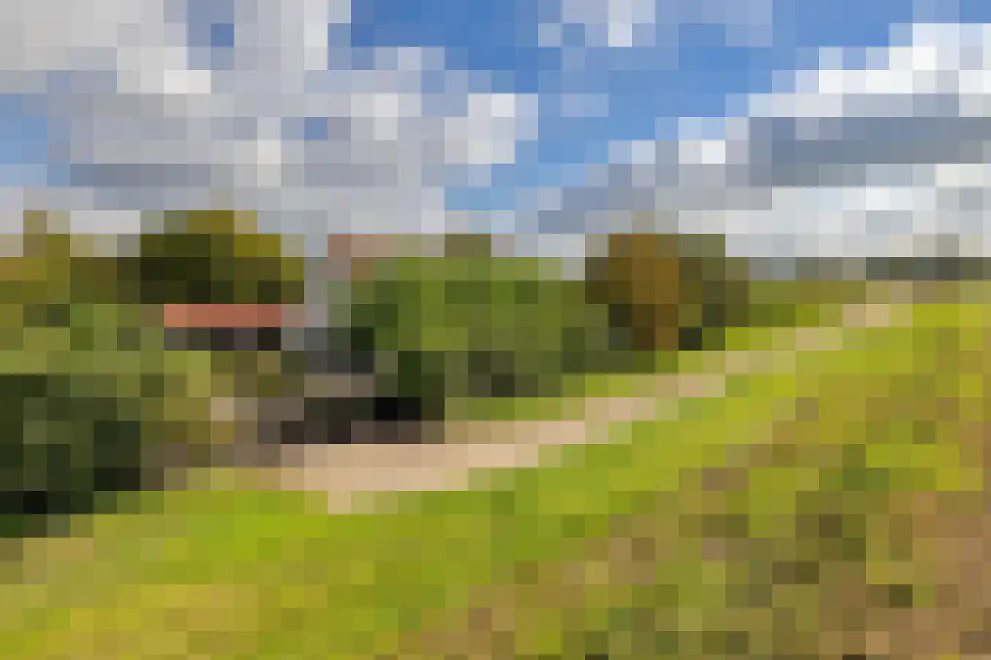 Schenkeldijk 4 Hellevoetsluis thumbnail 65