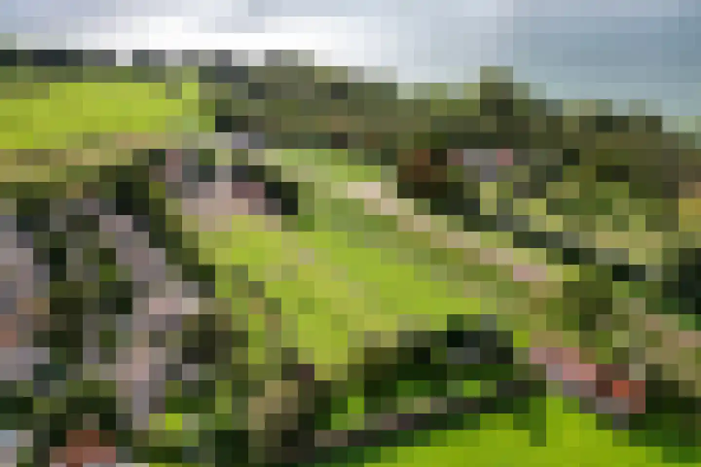 Schenkeldijk 4 Hellevoetsluis thumbnail 68