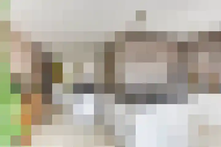 Schenkeldijk 5 Wervershoof thumbnail 11