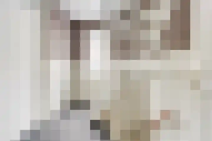 Schenkeldijk 5 Wervershoof thumbnail 19
