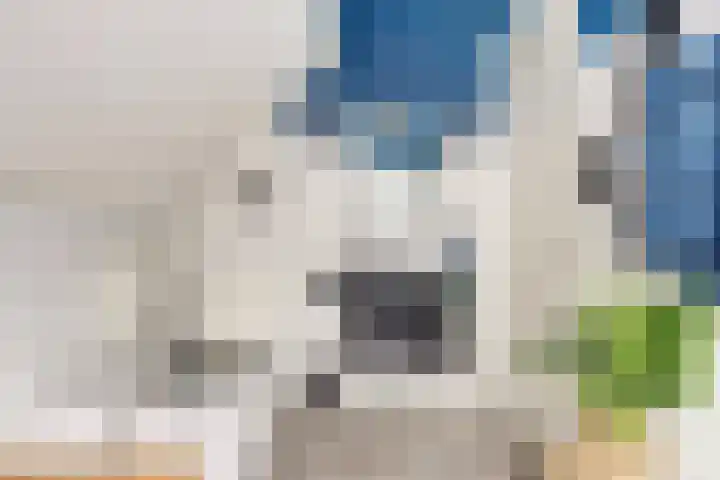 Schenkeldijk 5 Wervershoof thumbnail 27