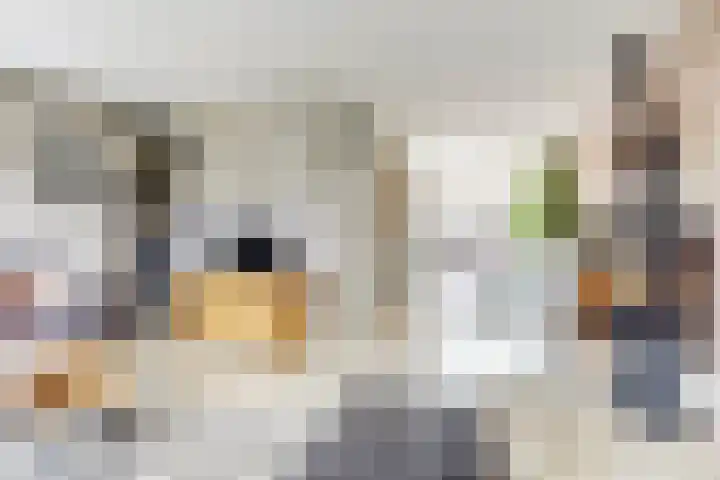 Schenkeldijk 5 Wervershoof thumbnail 8