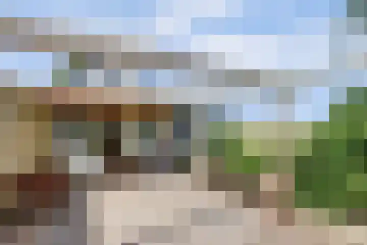 Schenkeldijk 52 's-Gravendeel thumbnail 38