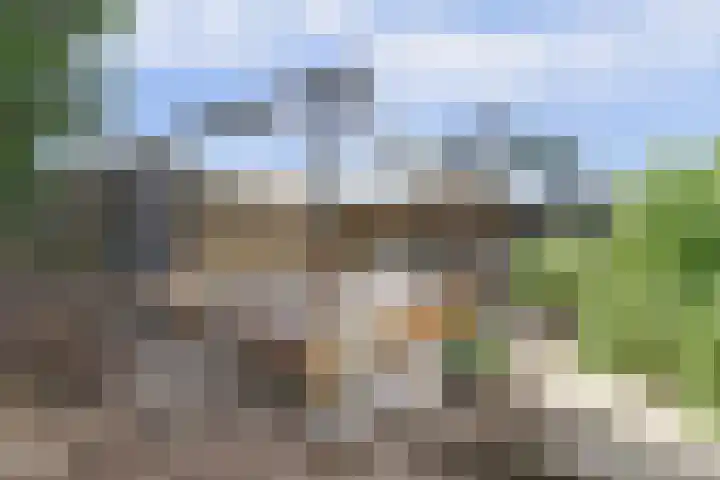 Schenkeldijk 52 's-Gravendeel thumbnail 39