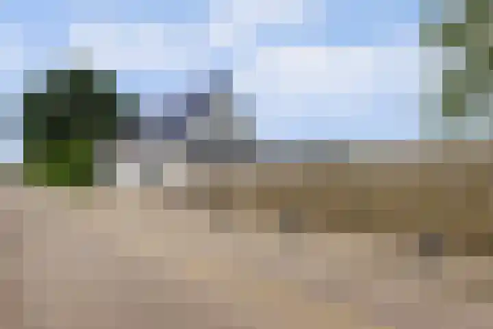Schenkeldijk 52 's-Gravendeel thumbnail 4