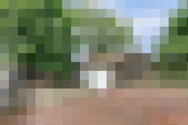 Schenkeldijk 52 's-Gravendeel thumbnail 43