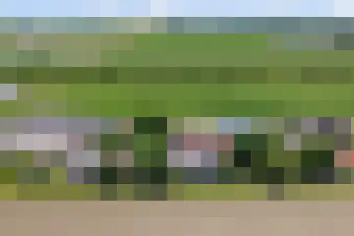 Schenkeldijk 52 's-Gravendeel thumbnail 46