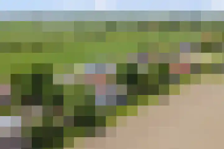 Schenkeldijk 52 's-Gravendeel thumbnail 49