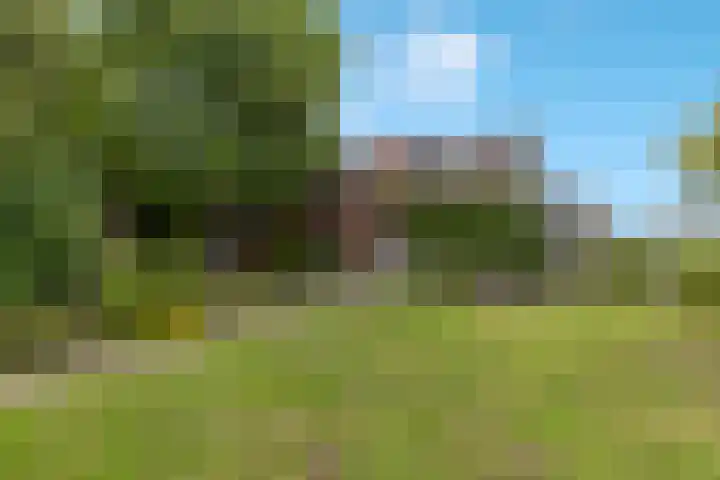 Schenkeldijk 55 's-Gravendeel thumbnail 22