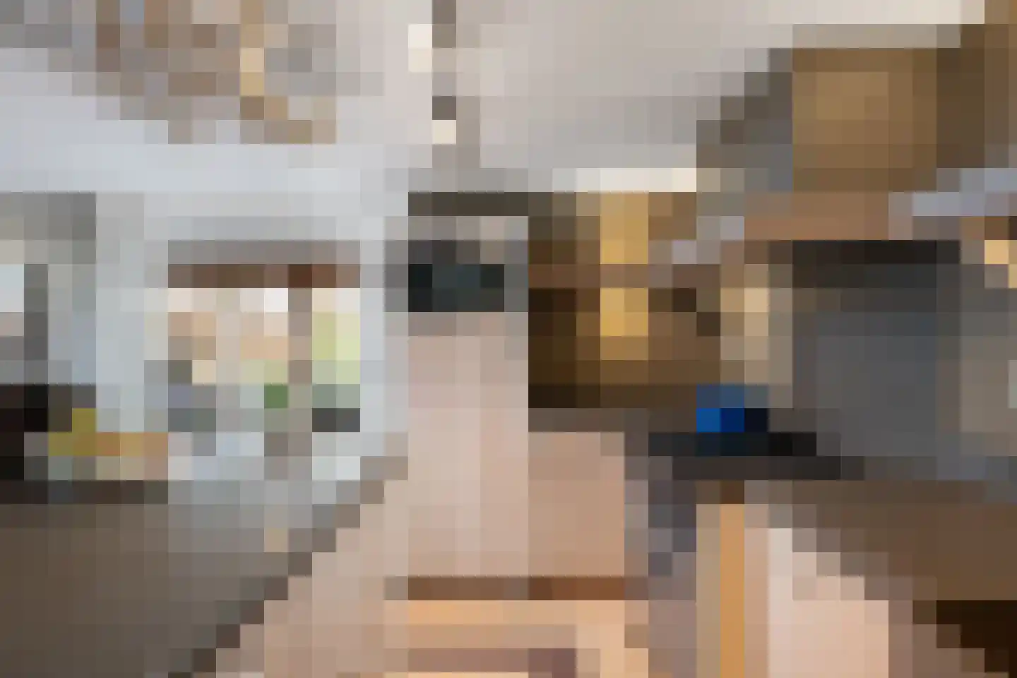 Schenkeldijk 59 Strijen thumbnail 14