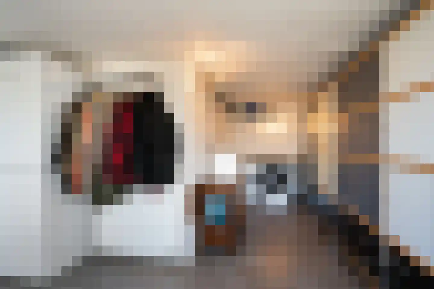 Schenkeldijk 59 Strijen thumbnail 24