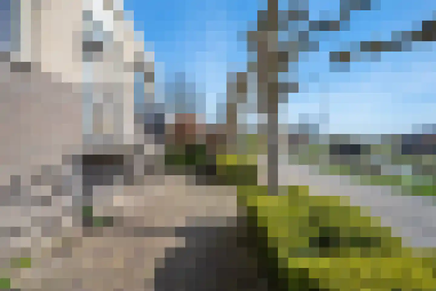 Schenkeldijk 59 Strijen thumbnail 26