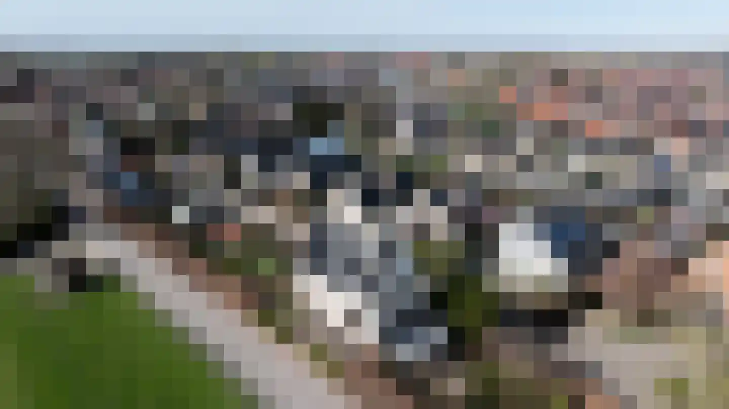 Schenkeldijk 59 Strijen thumbnail 4