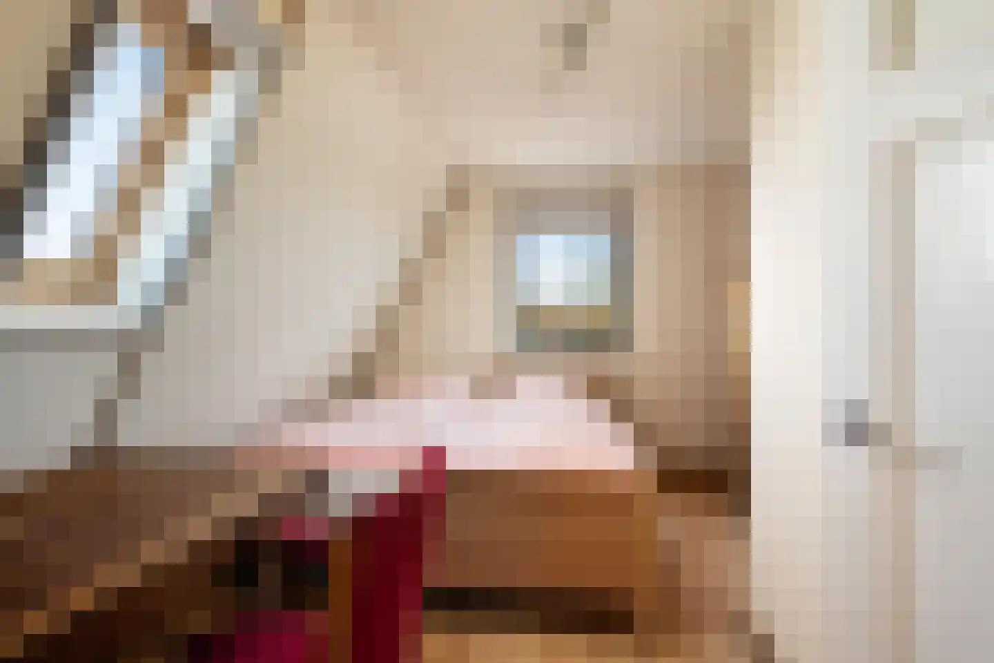Schenkeldijk 59 Strijen thumbnail 50