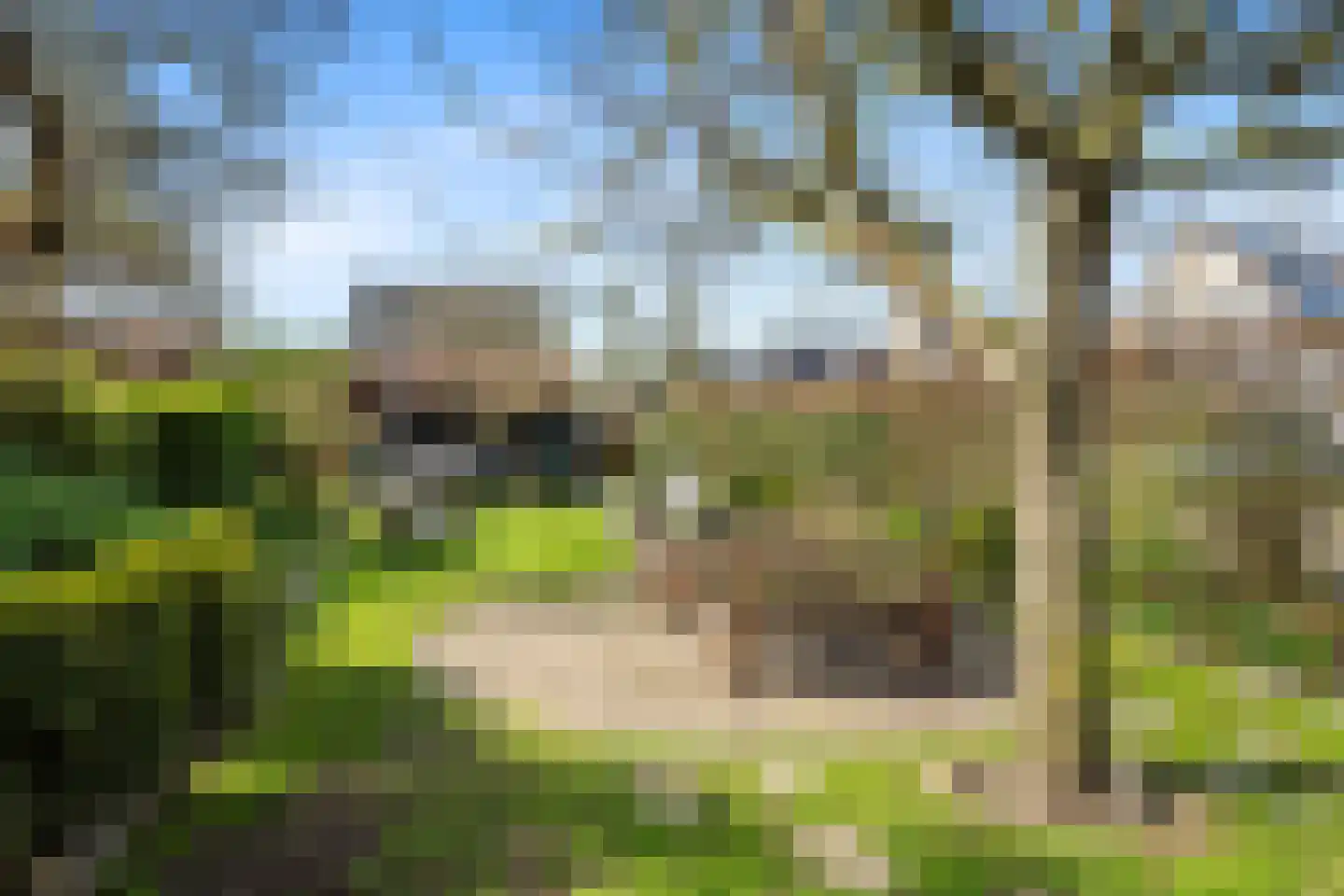 Schenkeldijk 59 Strijen thumbnail 58