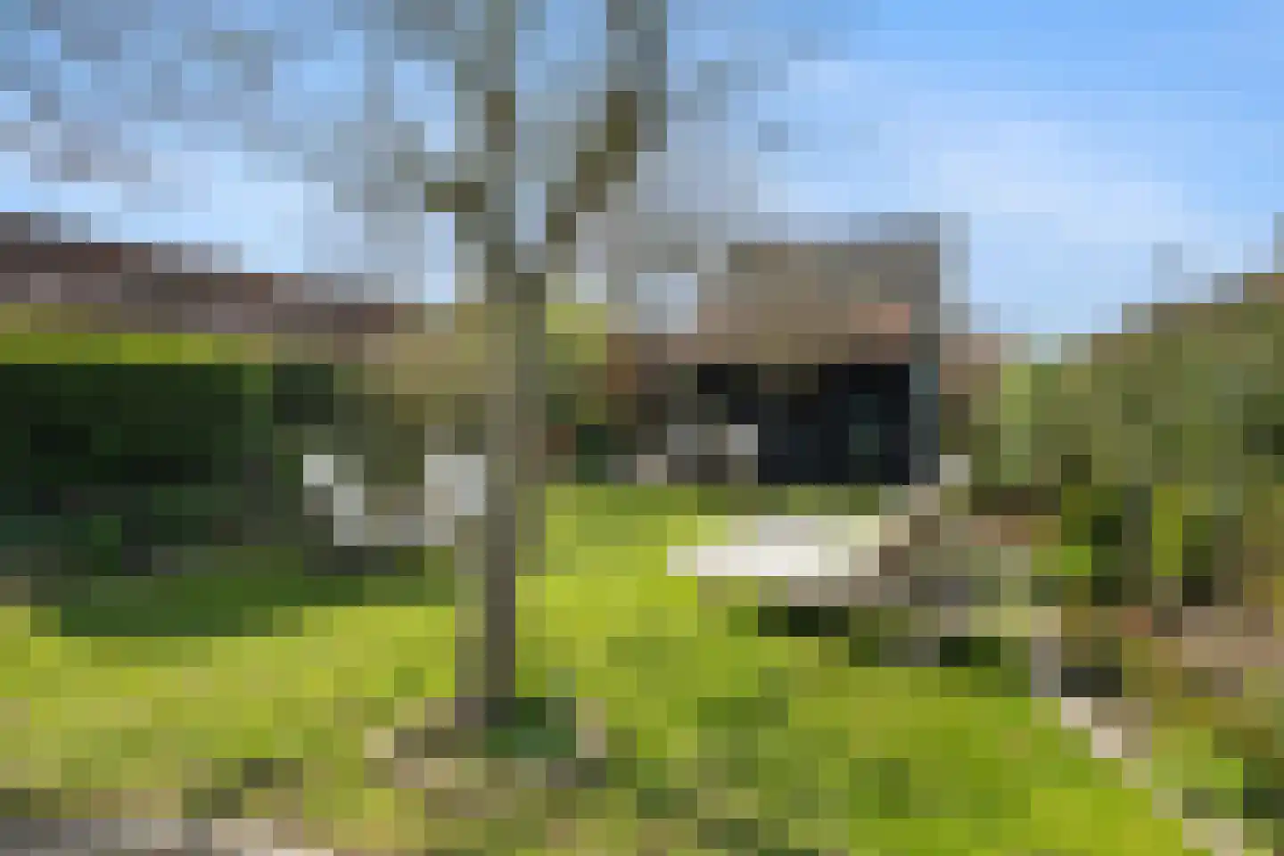 Schenkeldijk 59 Strijen thumbnail 59