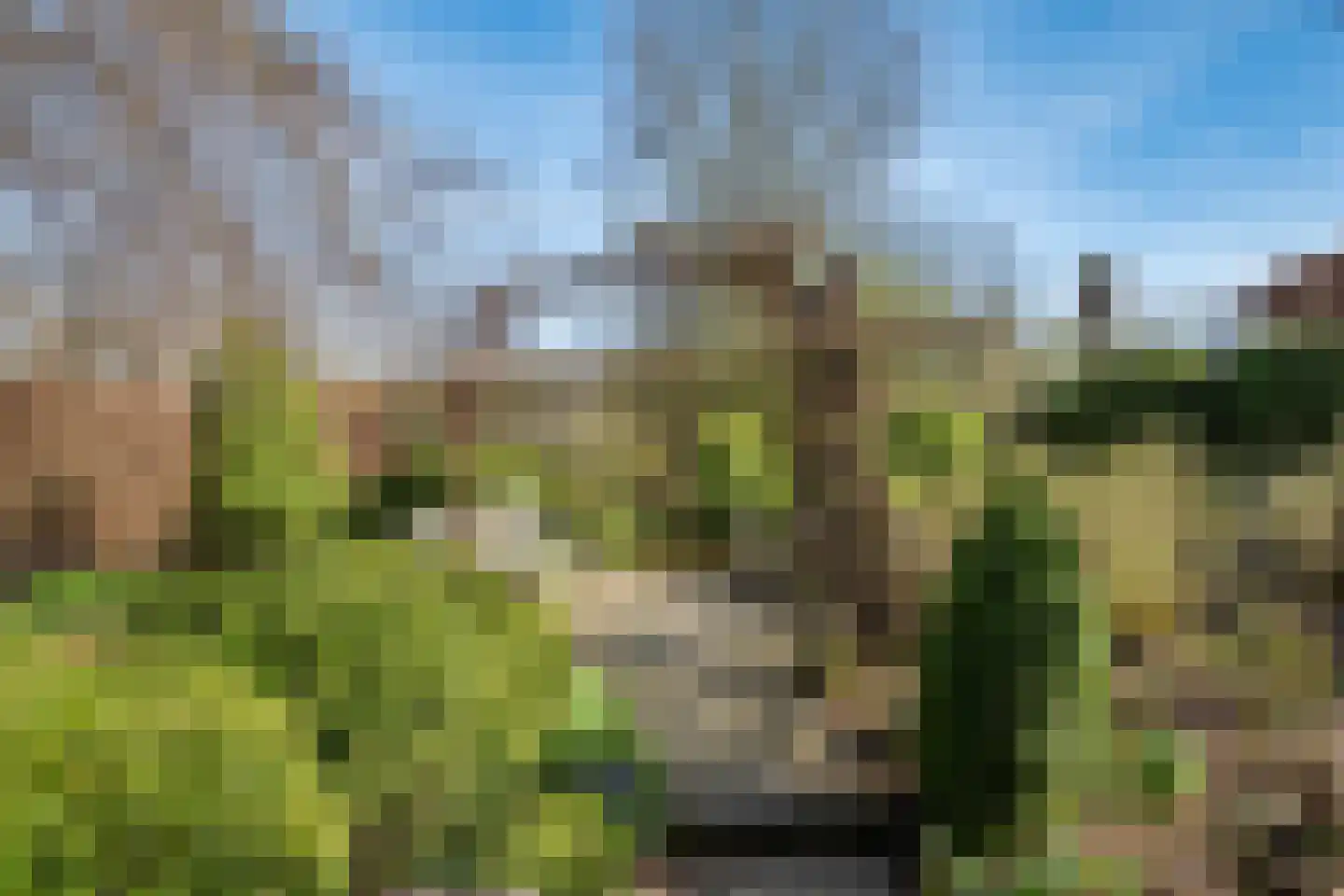 Schenkeldijk 59 Strijen thumbnail 72