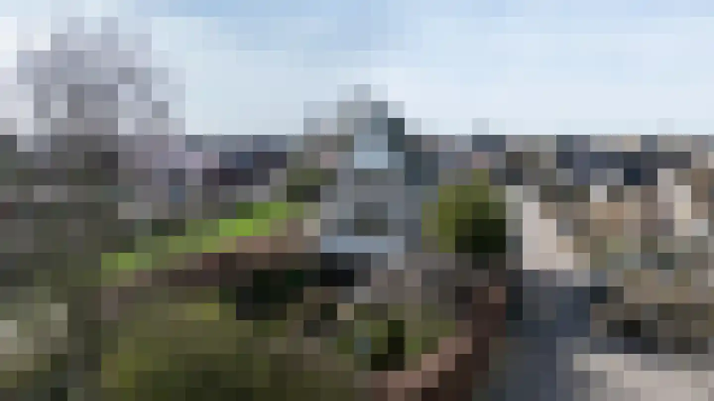 Schenkeldijk 59 Strijen thumbnail 74