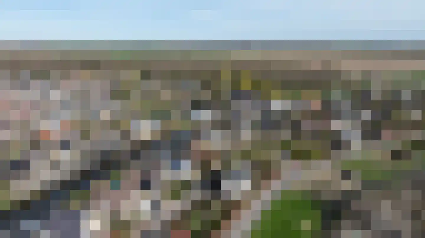 Schenkeldijk 59 Strijen thumbnail 75
