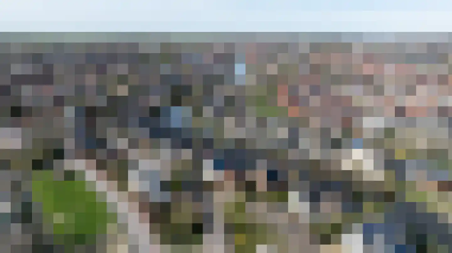 Schenkeldijk 59 Strijen thumbnail 76