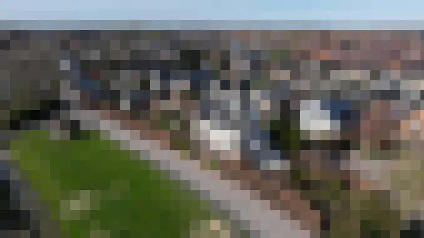 Schenkeldijk 59 Strijen thumbnail 78