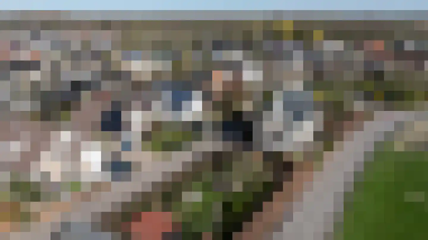 Schenkeldijk 59 Strijen thumbnail 79