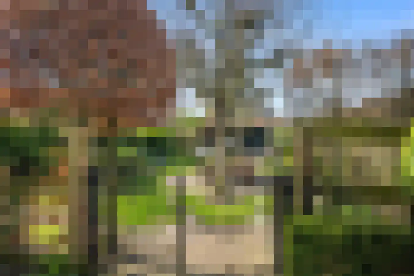 Schenkeldijk 59 Strijen thumbnail 8