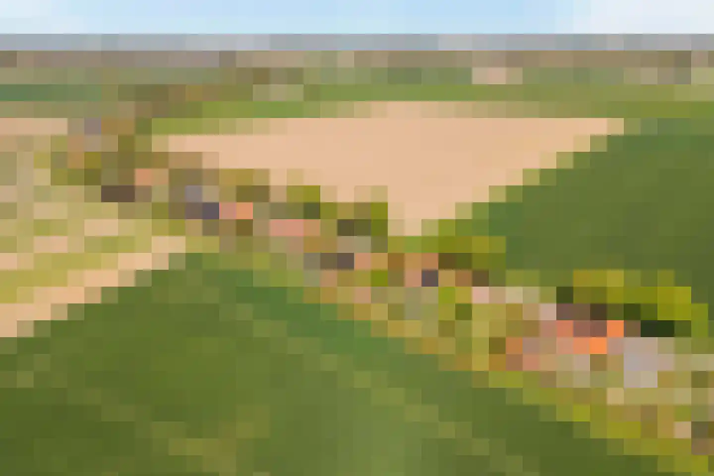 Schenkeldijk 80 Zuid-Beijerland thumbnail 4