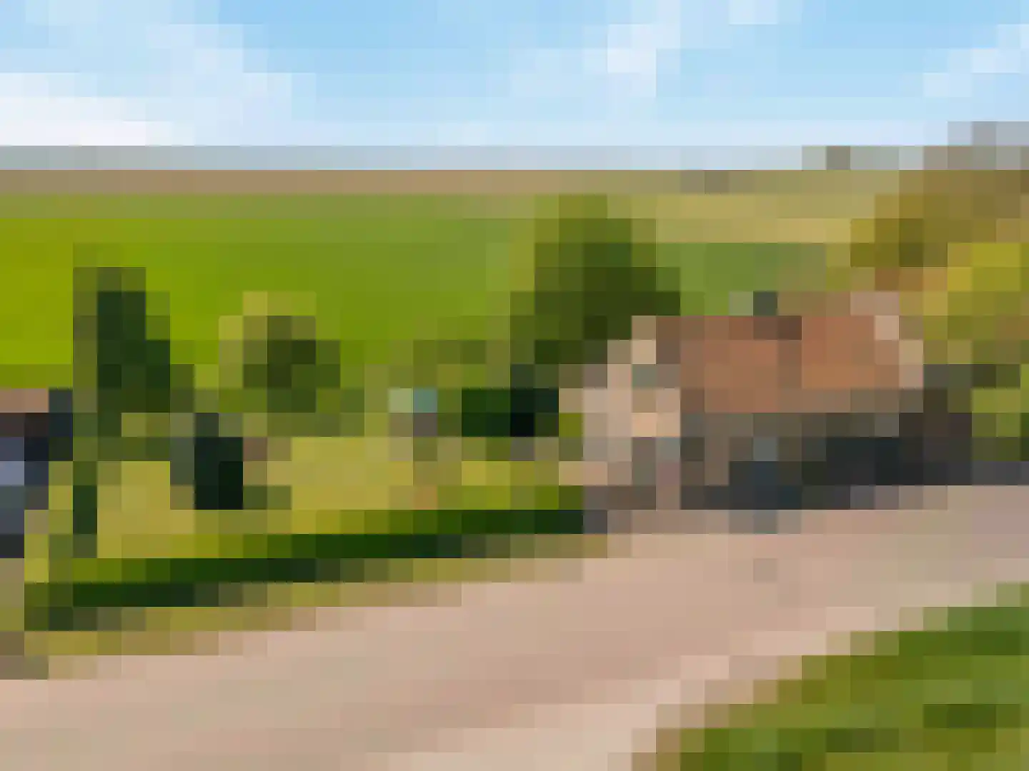 Schenkeldijk 80 Zuid-Beijerland thumbnail 5