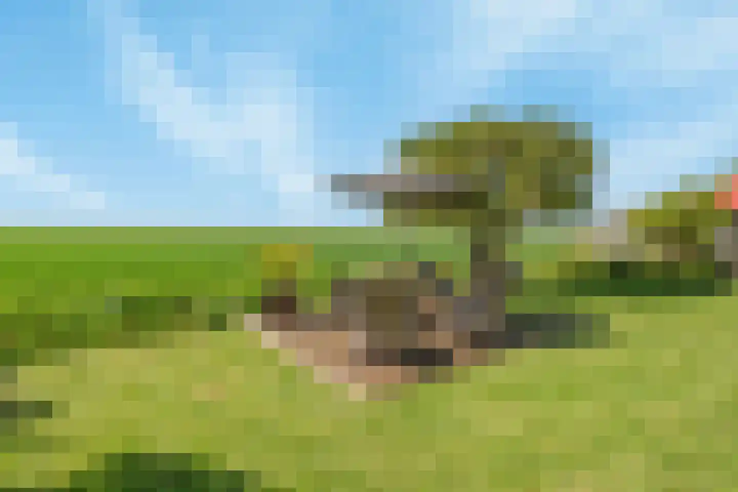 Schenkeldijk 80 Zuid-Beijerland thumbnail 61