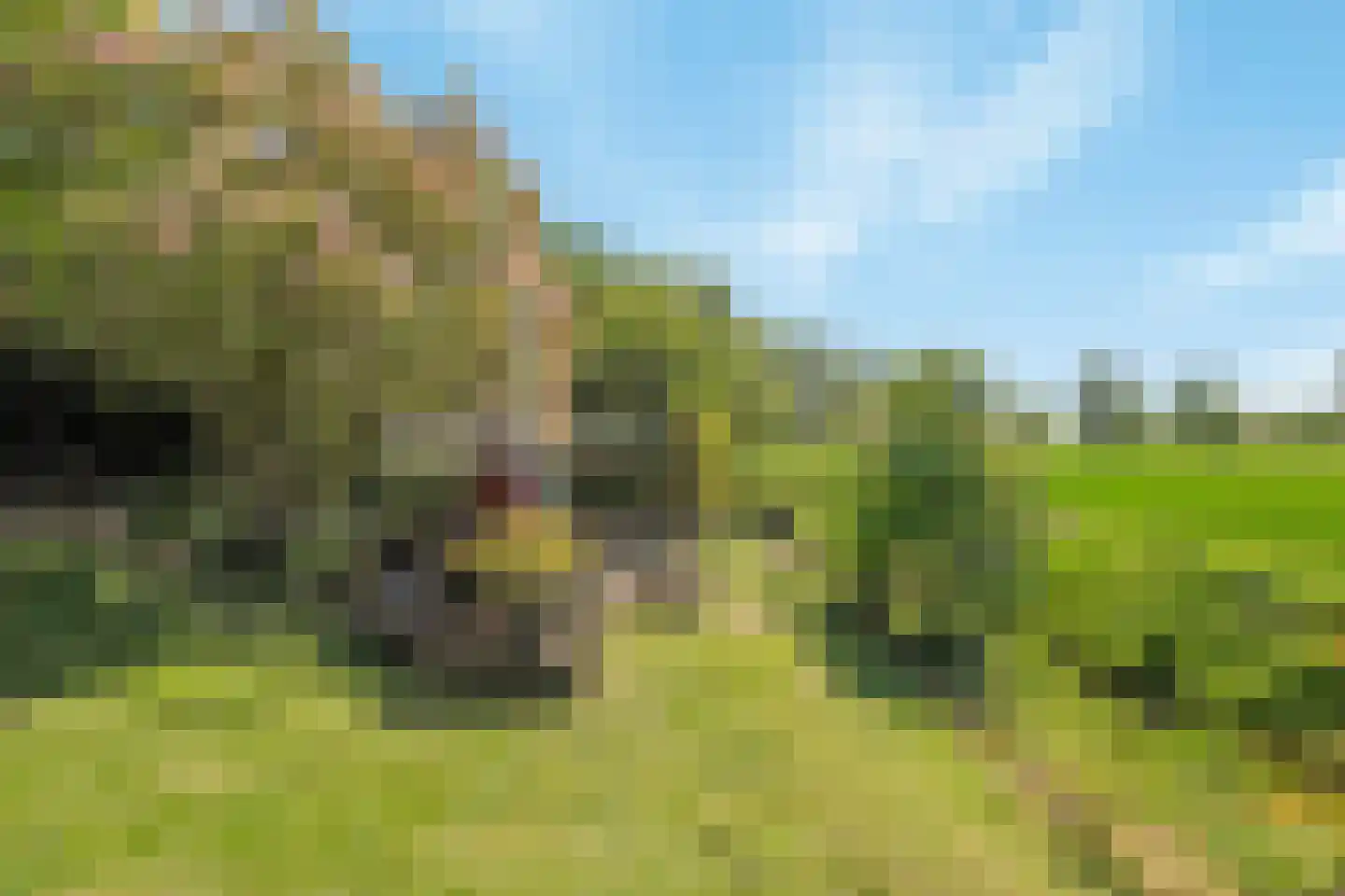 Schenkeldijk 80 Zuid-Beijerland thumbnail 63