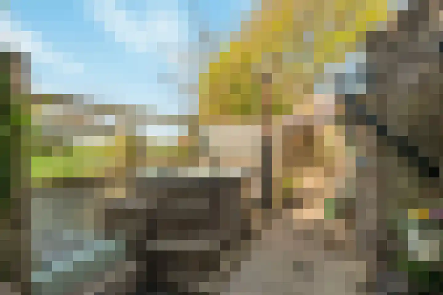 Schenkeldijk 80 Zuid-Beijerland thumbnail 69