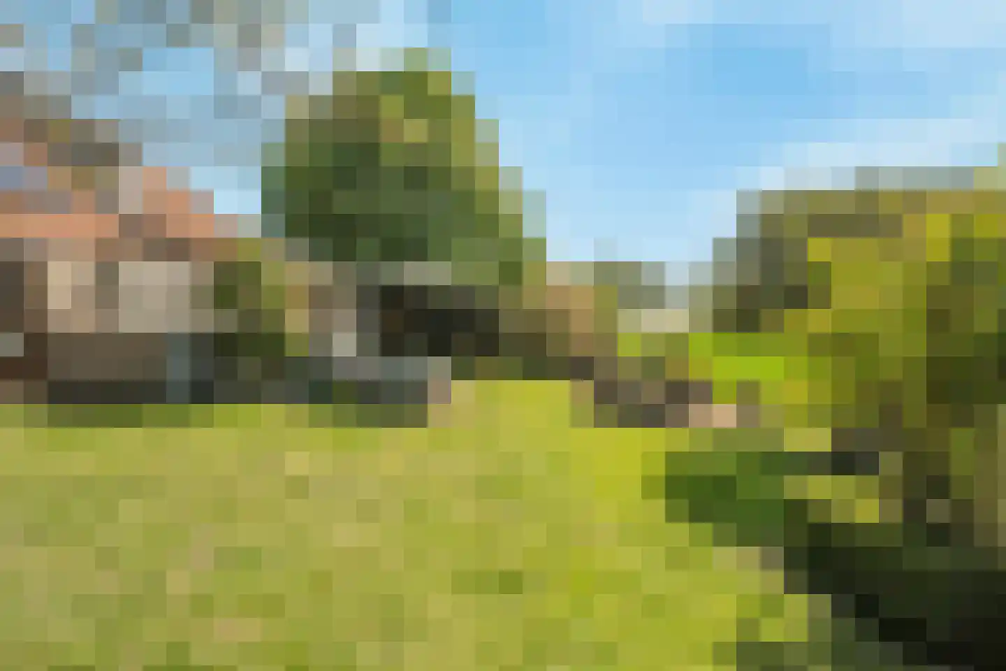 Schenkeldijk 80 Zuid-Beijerland thumbnail 71